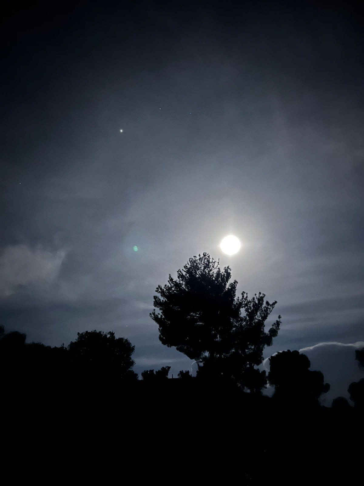 13e5ac8c-f867-44d6-821a-fa7069a388c1.jpg
