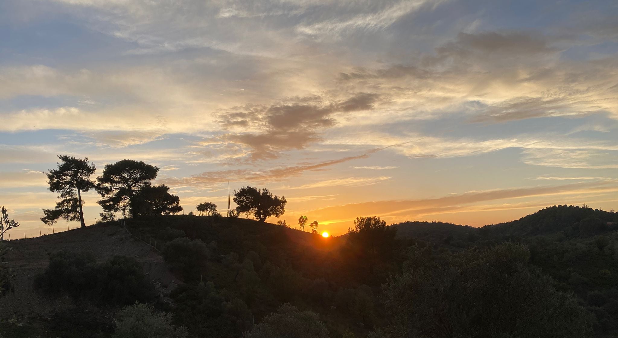 sunrise75.jpg