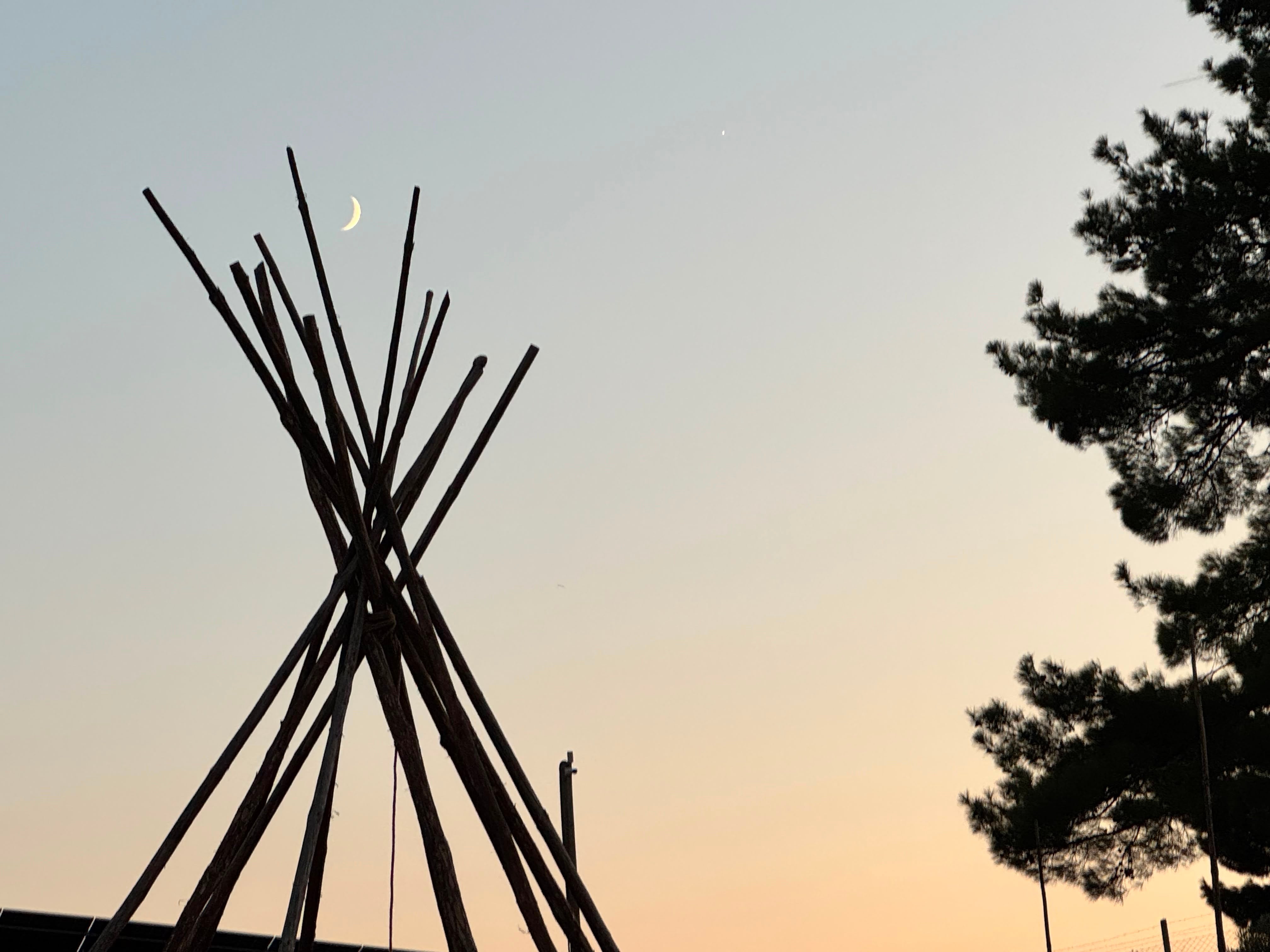 tepee-poles.jpg